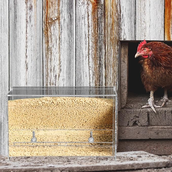 Abaodam Rutin Chicken Automatic Feeder Acrylic Medium Chicken Feeding Bowl Food Box for Parrot Cockatiel Bird Cage Use