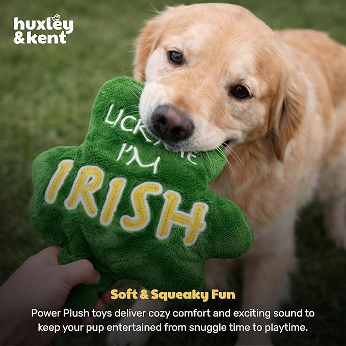 Huxley & Kent Funny Dog Toy w/Squeaker – St. Patrick's Day Power Plush Squeaky Dog Toys for Small, Medium & Large Dogs – Soft Stuffed Animal for Indoor Play & Fetch - Lick Me Shamrock, One Size