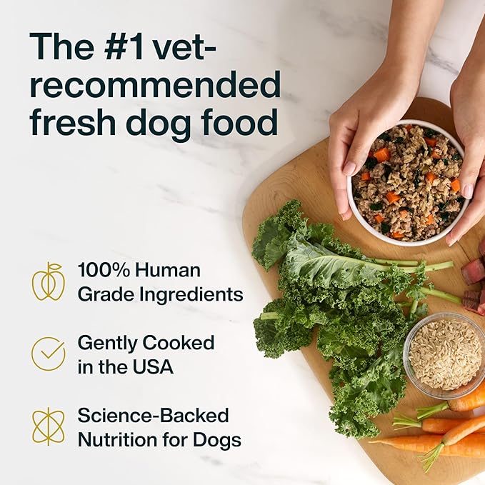 JustFoodForDogs JustFresh Wet Dog Food, Fresh Pet Meals and Toppers with No Preservatives, Resealable Package, Human Grade, Home-Cooked Beef & Chicken, 12 oz - 8 Pack