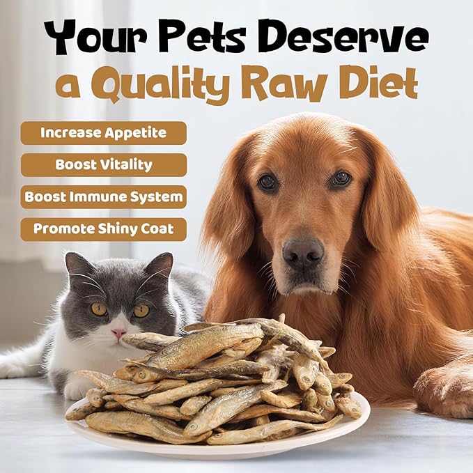 Minnows - Freeze Dried Minnows for Dogs & Cats, 100% Natural Single Ingredient Training Treats, Premium High Protein Snacks, Grain Free (8 oz)
