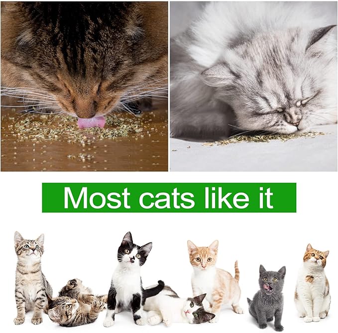 Organic Catmint, Natural Dried Catnip with Leaves & Flowers, Use for Refillable Catnip Toys for Cats, Delicately Dried and Sealed and Packaged for Easy Preservation