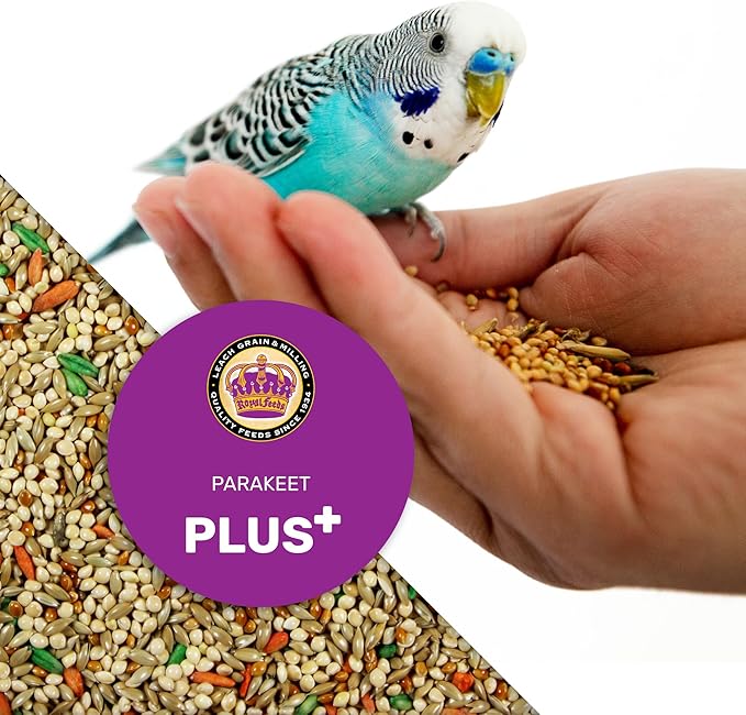 LEACH GRAIN & MILLING CO. Parakeet Plus, 25 lbs Premium Parakeet Bird Food, Nutrient-Rich Blend, No Waste Bird Seed for Outside Feeders, Birdseed with Vitamins & Minerals, Supports Energy & Growth