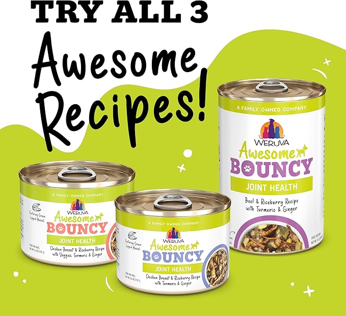 Weruva Awesome Bouncy Wet Dog Food, Chicken & Brown Rice with Veggies, 14oz Can (Pack of 10)