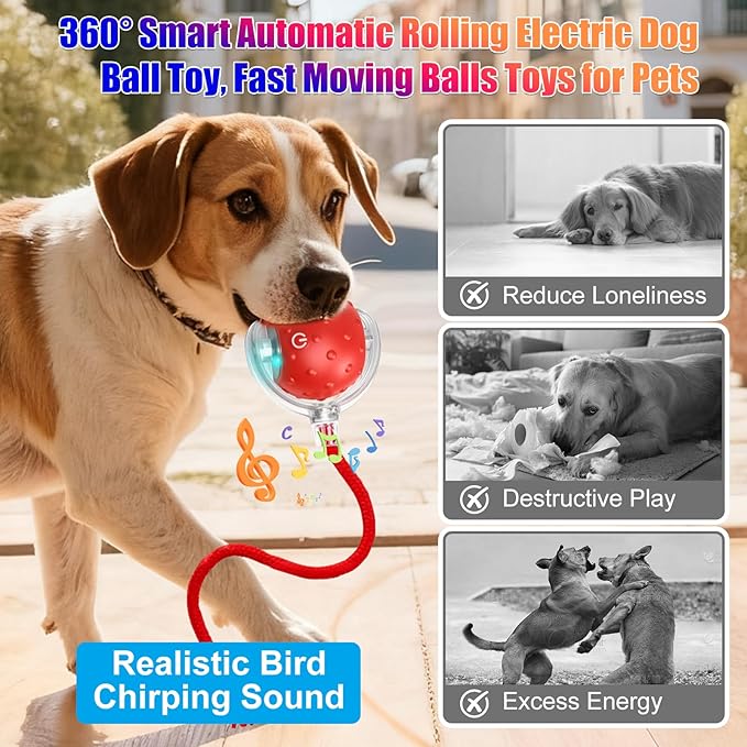 2Pcs Tinyfetch Dog Toy, Interactive Dog Cat Toys Balls with Birdsong, Rechargeable 360° Smart Automatic Rolling Electric Dog Ball Toy with Rope for Pets Indoor & Outdoor Play (Red+Blue)