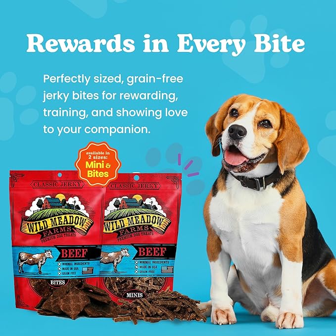 Classic Beef Bites, Soft Jerky Treats for Dogs, Grain-Free & All-Natural, Ideal for Training, Portioning, and High-Value Rewards for All Breeds & Ages - 3.5 Ounce Pouch