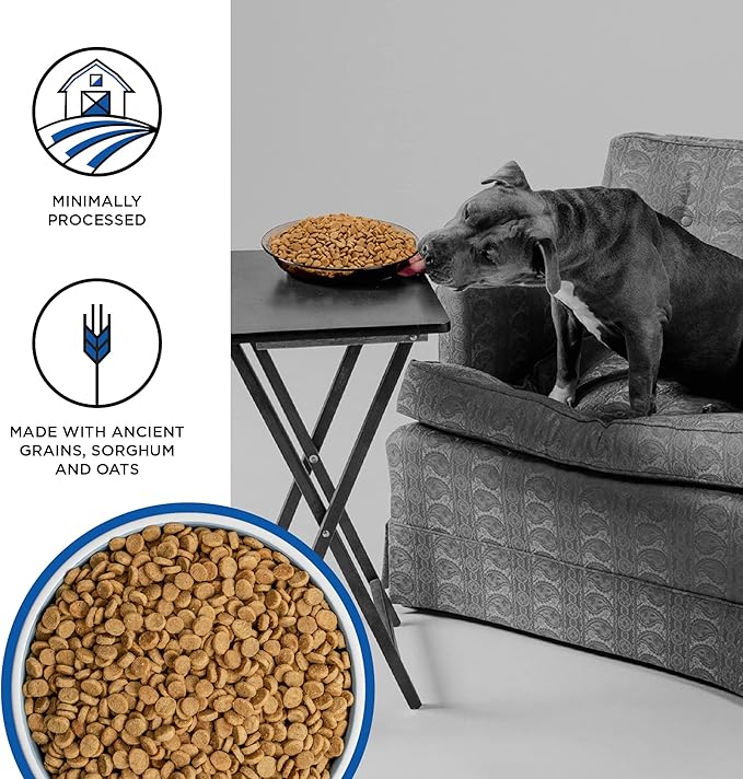 BIXBI Liberty Ancient Grains Dry Dog Food, Game Bird Feast Recipe – Fresh Meat, High Protein, Wholesome Grains – USA Made, 22 lbs