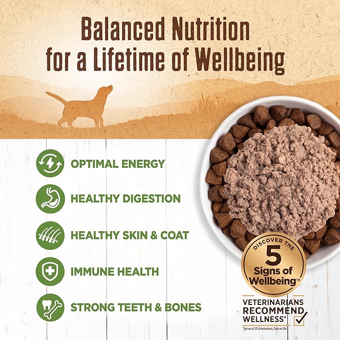 Wellness 95% Lamb Adult Canned Wet Dog Food, Grain Free, Natural, 13.2 oz, Pack of 12 Cans
