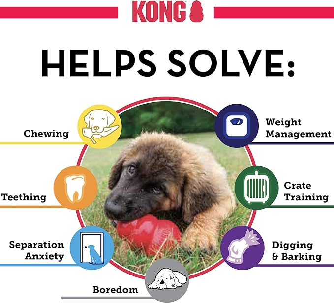 KONG - Puppy and Ziggies - Puppy Toys for Teething with Treats (Colors May Vary) - for Small Puppies