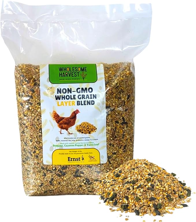 Non-GMO Whole Grain Layer Blend 16% - Chicken Feed for Laying Hens and Ducks - Includes Essential Oils, Herbs, Oyster Shells, Vital Minerals, and Omega 3, 10lb