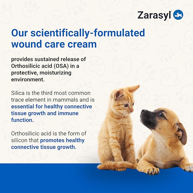 Zarasyl Companion Essential Skin Care Ointment for Cats and Dogs, 1.69 oz. – Protects & Moisturizes Skin & Tissues for Optimal Wound Care – First Aid Salve Cream for Wounds