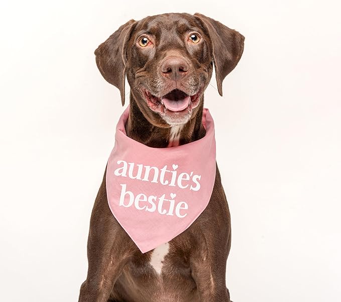 Auntie's Bestie Aunt, Valentine's Day, Mother's Day Dog Bandana (Purple, XS 401)