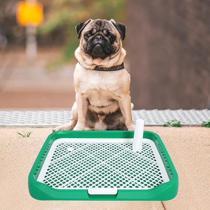 Abaodam Dog Indoor Potty Tray for Small and Medium Dogs with Green Base Puppy Training Litter Box for Housebreaking and Urine Containment
