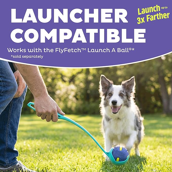 Outward Hound FlyFetch Rubber Fetch Ballz Dog Toy, Bounces & Floats, Launcher Compatible, 2.6", 2-Pack