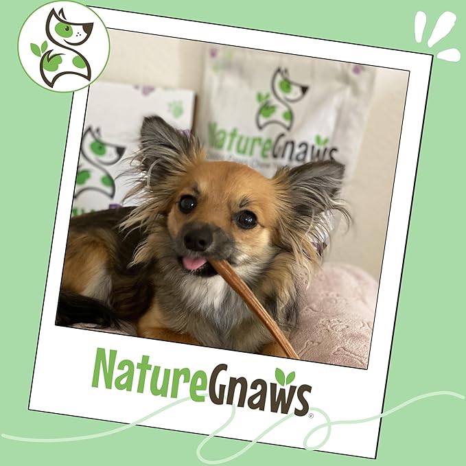 Nature Gnaws Variety Pack for Small Dogs (12 Count) - Bully Sticks, Beef Tendons and Tripe Twists for Dogs - Natural Long Lasting Beef Dog Chew Bones - Rawhide Free