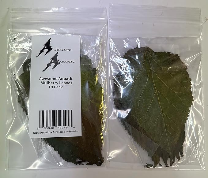 Awesome Aquatic Mulberry Shrimp Leaves Natural Botanical Leaf Food Organic Treat Aquarium Fish Shrimp Terrarium High Protein Vitamin Mineral Fiber Healthy Habitat Environment (Mulberry 10 pk)