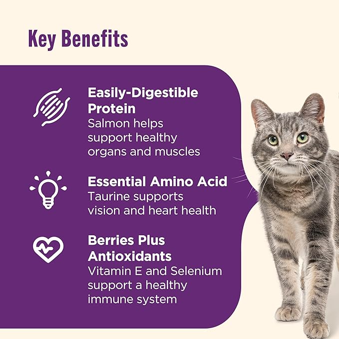 Nutrish Senior Healthy Aging Dry Cat Food, Chicken, Chickpea and Salmon, 3 lb. Bag (Rachael Ray)
