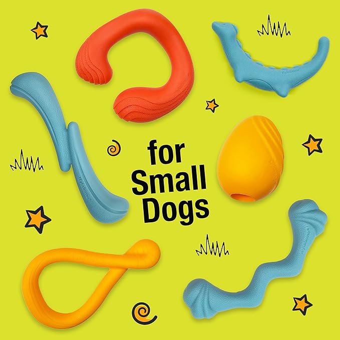 Nylabone Springa Interactive Dog Toy for Small Dogs - Lightweight Flexible Floatable Dog Tug Toy for Creative Play & Dog Exercise