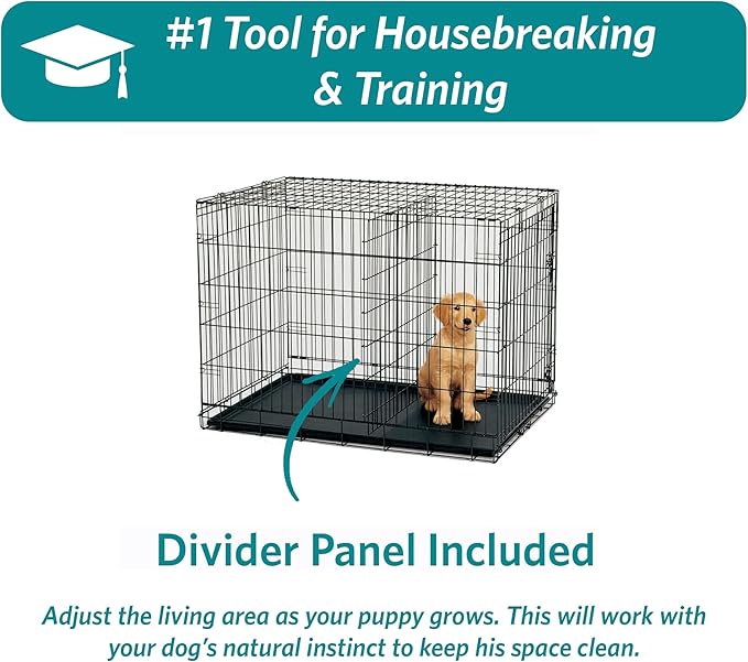 MidWest Homes for Pets 36-Inch iCrate for Medium-Large Breeds, 41-70 lbs, Double Door Folding Dog Crate with Divider Panel, Leak-Proof Tray & Secure Latches, Portable, Durable & Easy to Assemble