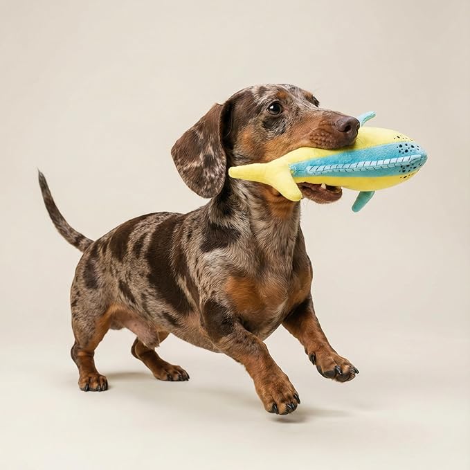 Dog Toys | Plush Mahi Mahi Stuffed Animal for Dogs | Eco Friendly Small Dog Toy