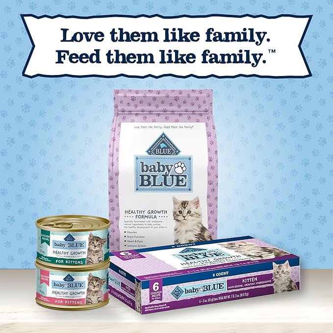 Blue Buffalo Baby BLUE Natural Grain-Free Wet Food for Kittens, Healthy Growth Formula with DHA, High-Protein Salmon Pate, 3 Ounce (Pack of 24)