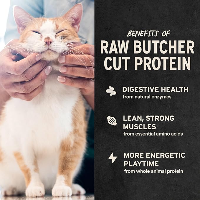 Vital Essentials Freeze Dried Cat Treats | Chicken Breast, Single Ingredient | Premium Quality | Grain Free, Healthy Treats for Cats, 4 oz Bag