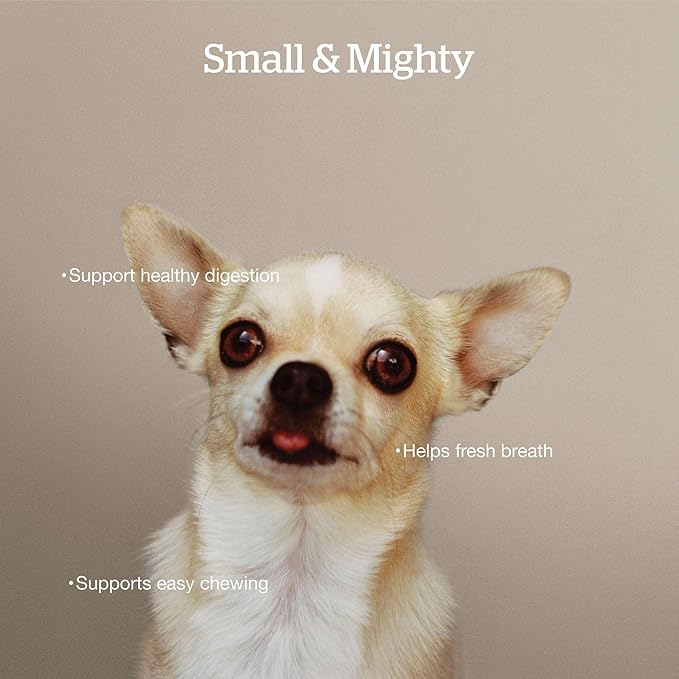 Now Fresh Small Breed Adult Dry Dog Food, Turkey, Salmon & Duck Recipe, Grain-Free, Chicken-Free, 22 lbs