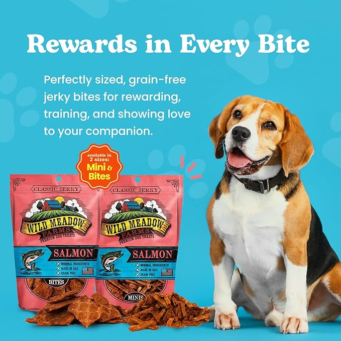 Classic Salmon Bites, Soft Jerky Treats for Dogs, Grain-Free & All-Natural, Ideal for Training, Portioning, and High-Value Rewards for All Breeds & Ages - 3.5 Ounce Pouch