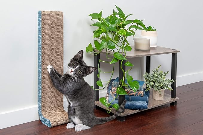 Furhaven 2-Pack Scratching Boards w/ Catnip & Wall-Mounting Hooks for Indoor Cats, Reversible - Wall-Mounted Corrugated Cat Scratchers - Seaglass, Standard/2-Pack