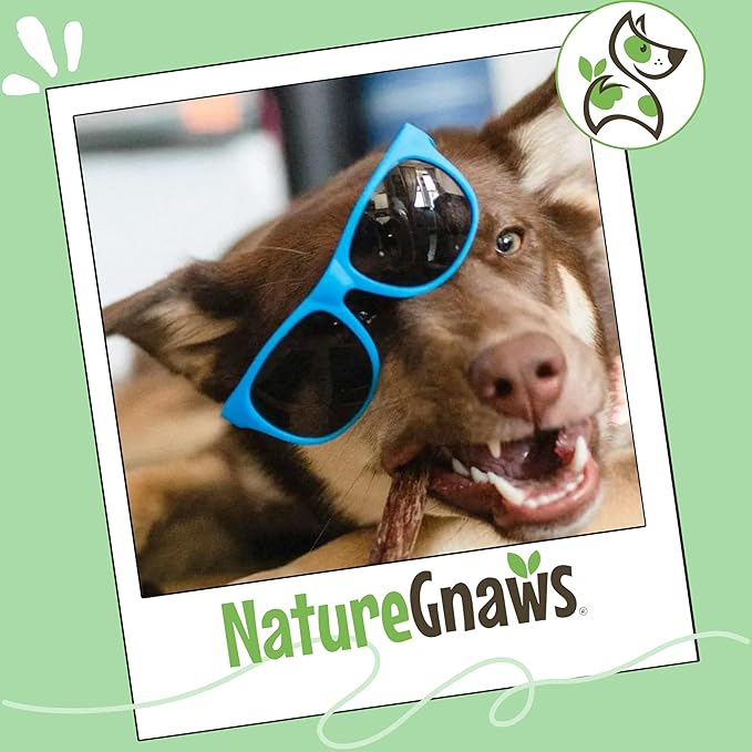 Nature Gnaws Beef Gullet Sticks for Dogs 5-6" (15 Count) - Natural Beef Jerky Stick Dog Chew Treats - Rawhide Free