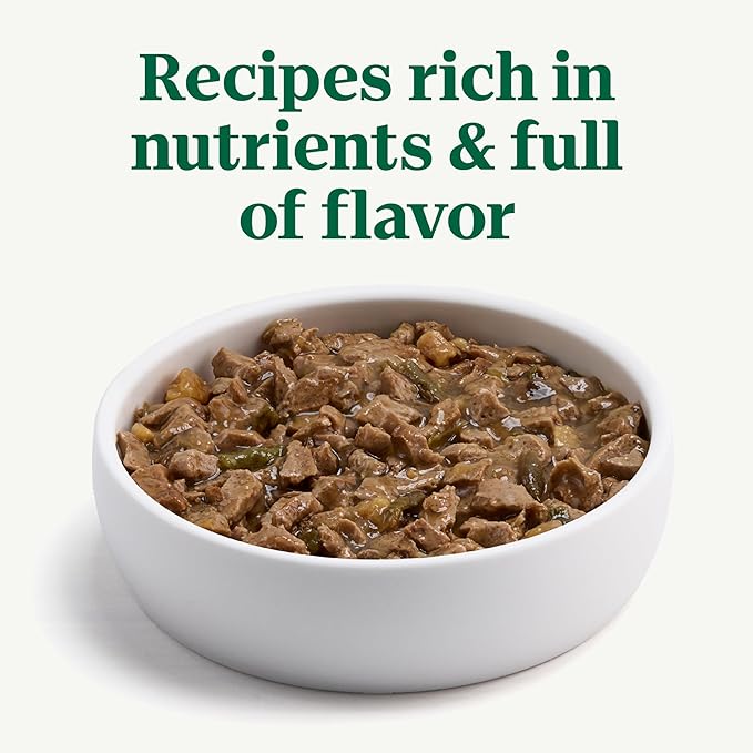 Nutro Hearty Stew Canned Wet Dog Food, Natural Grain Free Dog Food Wet Cuts in Gravy Roasted Turkey with Green Bean & Sweet Potato Stew, 12.5 oz. Cans (12 Count, Pack of 2)