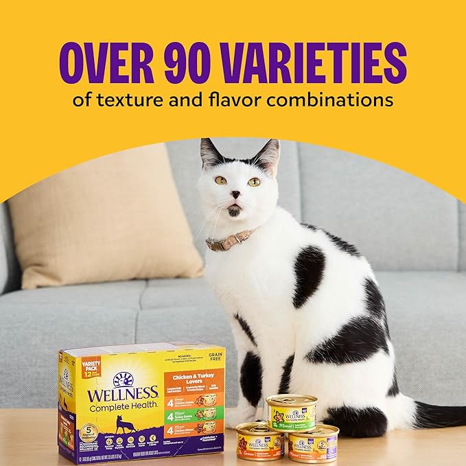 Wellness Complete Health Sliced Adult Canned Wet Cat Food, Natural, Protein Rich, Grain Free, Turkey and Salmon Dinner Recipe, 5.5 oz, Pack of 24 Cans