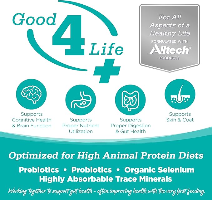 NutriSource Element Series Classic Catch Dry Cat Food, Haddock, Trout & Cod, 11LB