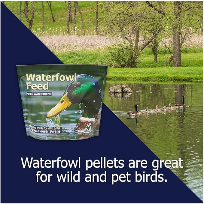Natural Waterscapes Waterfowl Feed (5 lb) Floating Duck Food | for Wild Ducks, Pet Ducks, Geese, Swans