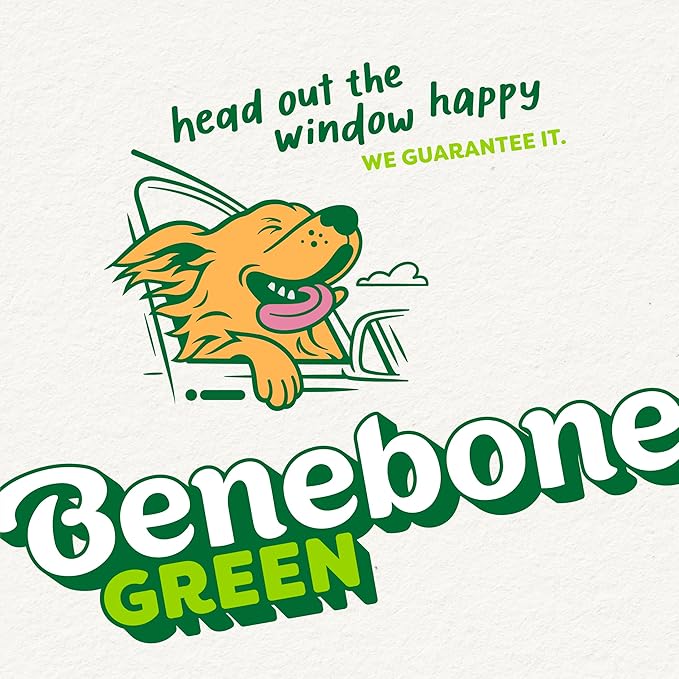 Benebone Green: Plant-Based Real Salmon Fishbone Dog Chew Toy for Small Dogs, Dog Bones for Moderate Chewers, Made in USA