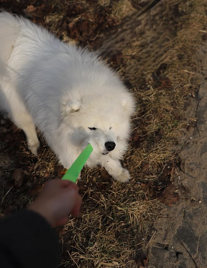 Dingo Natural tug Toy for Dog, Sheepskin Toy, Sheep Leather, for Chasing Motivation Reward Agility, Bungee Handle, Green 15581