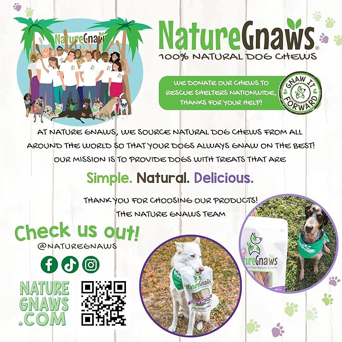 Nature Gnaws Super Skinny Bully Sticks for Small Dogs 5-6" (40 Count) - Long Lasting for Light Chewers and Puppies - Extra Thin Natural Beef Dog Chew Treats
