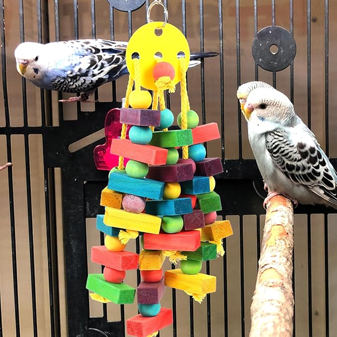 Parakeet Chew and Cockatiel Molar Natural Bird Cage Accessories for Small to Medium Parrots