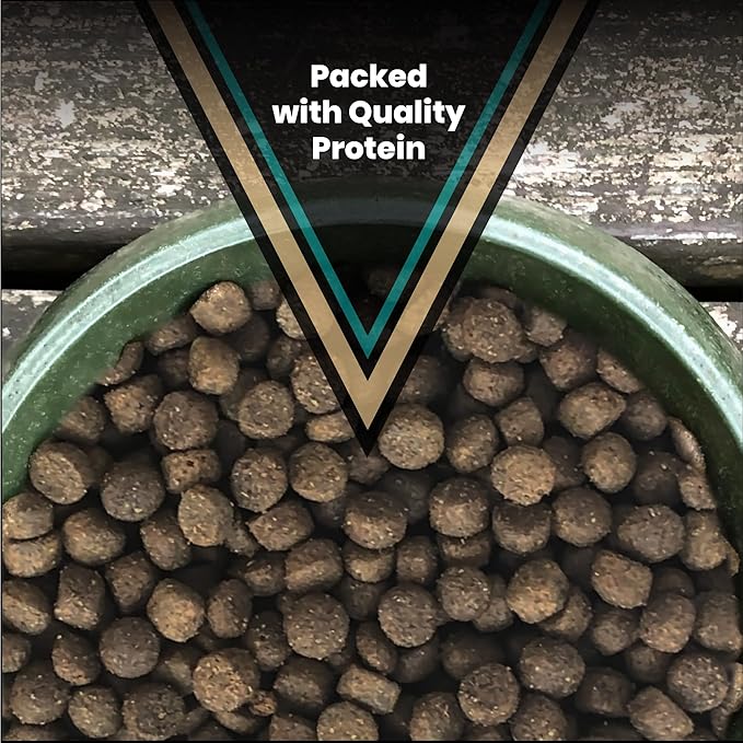 VICTOR Super Premium Dog Food – Hi-Pro Plus Dry Kibble – High Protein Dog Food with 30% Protein – Beef, Chicken, Pork, Fish Meals, Gluten Free - for High Energy and Active Dogs & Puppies, 5lbs