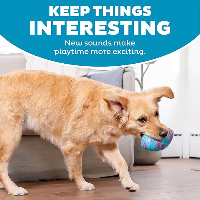 Outward Hound Grunt N' Punt Football Dog Toy - Throwing, Fetching Fun (Pack of 2)