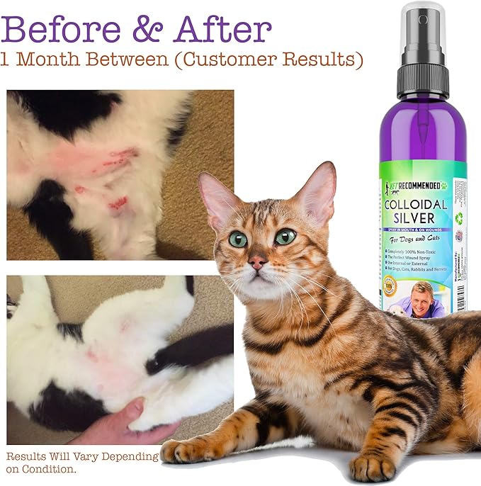 Vet Recommended - Colloidal Silver for Dogs & Cats - (4oz/120ml) - Colloidal Silver Spray that Works as Natural Hot Spot Solution - Made in USA