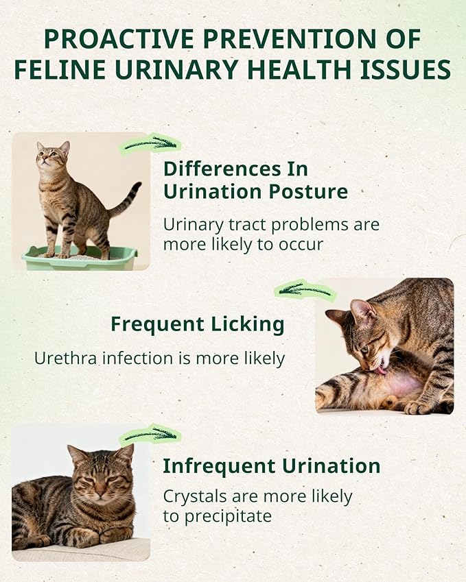 Urinary Care Cat Treats Lickable — Daily Wellness with Cranberry, Taurine, L-Lysine & Cat Multivitamins, Grain-Free Squeezable Cat Treats for Kidney & Urinary Support, Chicken, 10 Tubes