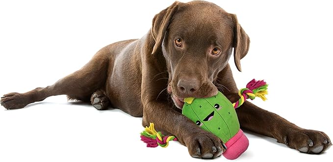 Pets First Plush Pet Toy with Rope & Squeaker by LaurDIY Super Cute Dog Cactus Toy