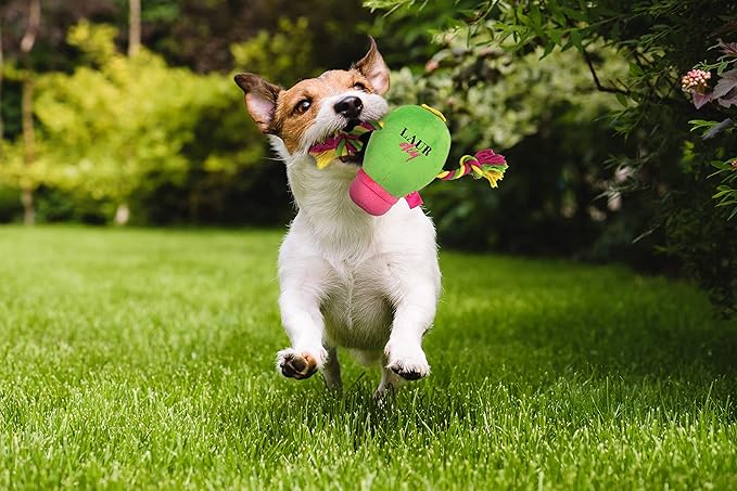 Pets First Plush Pet Toy with Rope & Squeaker by LaurDIY Super Cute Dog Cactus Toy
