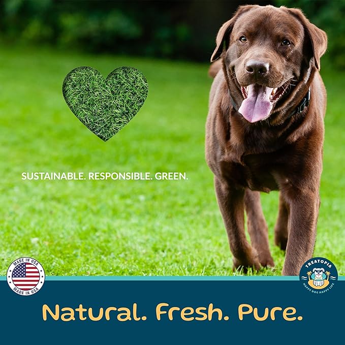 TREATOPIA Beef Lung Nuggies Dog Treats, 1 LB Bag - All-Natural, Sustainable, Healthy, High Protein, Hand-Trimmed, Slow-Roasted, Made in The USA, Nutritious, No Additives, No Fillers