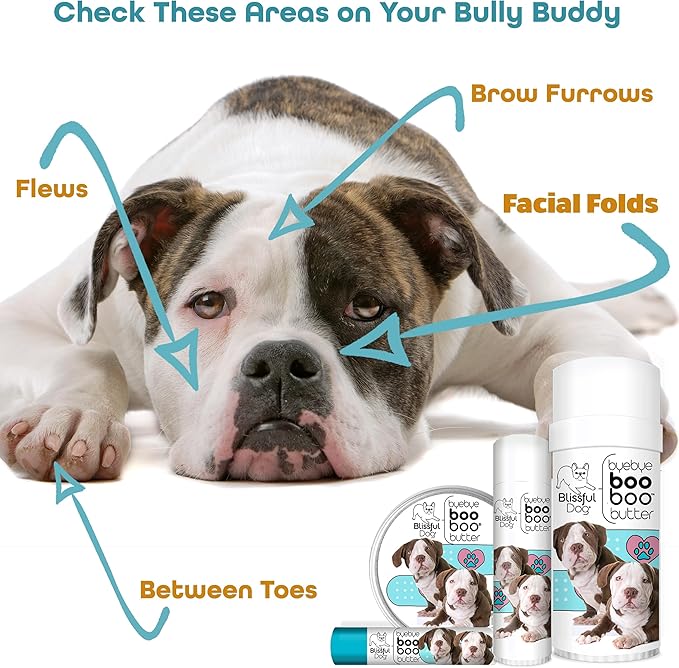 The Blissful Dog BB-AMBULL-16OZ Rottweiler Boo Butter