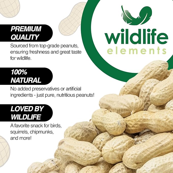 Wildlife Elements Peanut Party Unprocessed, Raw in-Shell Peanuts Wildlife Animal Food, 10lb - Rich in Protein, Healthy Fats, and Essential Nutrients for Birds, Squirrels and Waterfowl