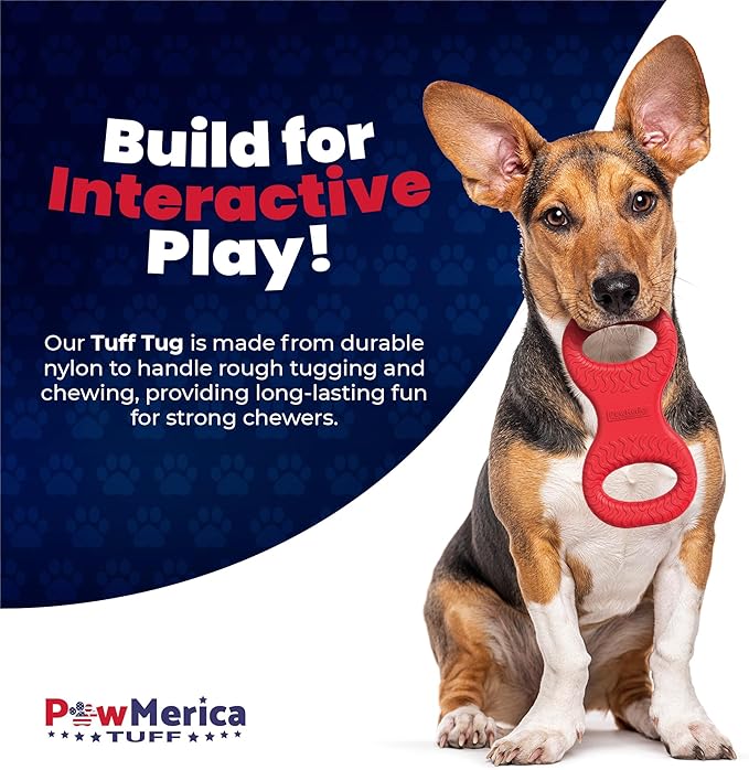 Tug – Indestructible Dual-Handle Dog Toy – Durable Nylon Tug-of-War for Strong Chewers – Pull Chew Toy for Interactive Play, Fetch, and Chewing – Pet Safe & Made in USA (8 x 4 Inches)