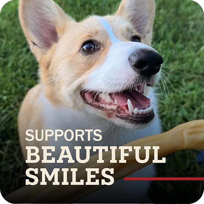 Redbarn Pet Products All-Natural Small 6" Beef Collagen Sticks for Dogs - Long Lasting Low-Odor Alternative to Traditional Rawhide & Bully Sticks - Supports Healthy Joints, Skin, & Coat - 10 Pack