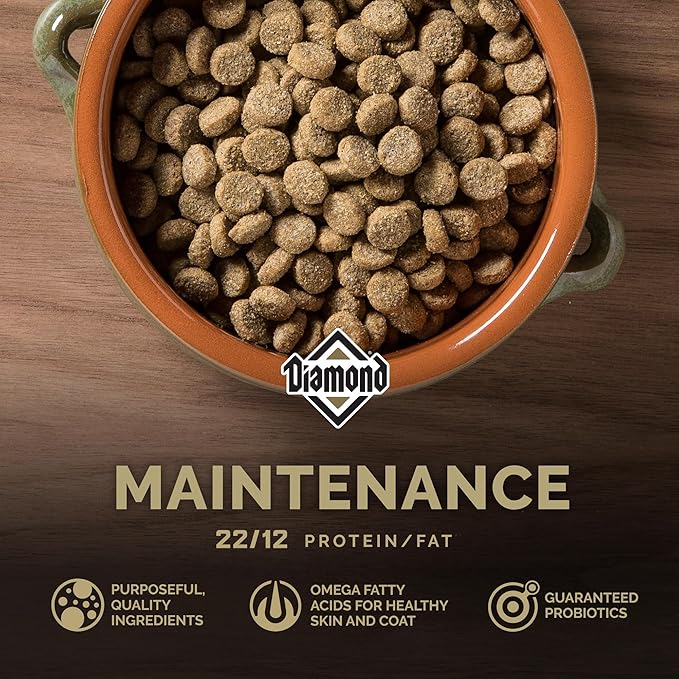 Diamond Maintenance Adult Dry Dog Food 22/12 for Moderately Active Dogs 20lb Bag