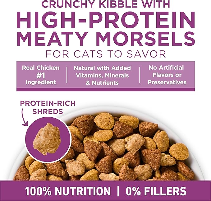 Purina ONE Plus Whole Body Support with Chicken Dry Cat Food - 16 lb. Bag